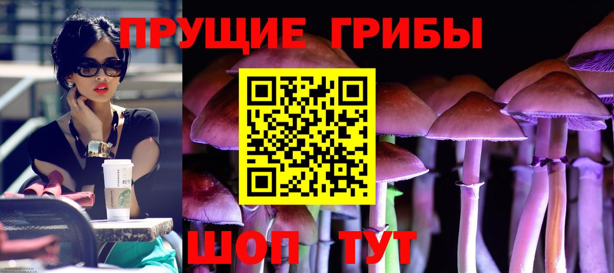 Псилоцибиновые грибы мухоморы Белгород